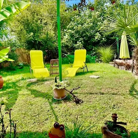 Yanakievi 3* Sinemoretz