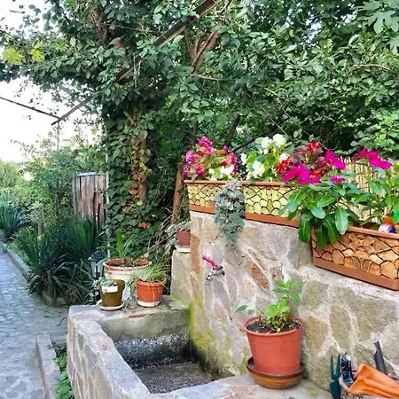 Yanakievi Casa de hóspedes Sinemoretz