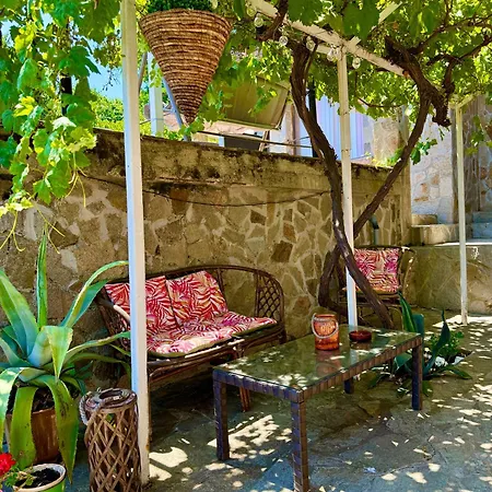 Yanakievi 3* Sinemoretz