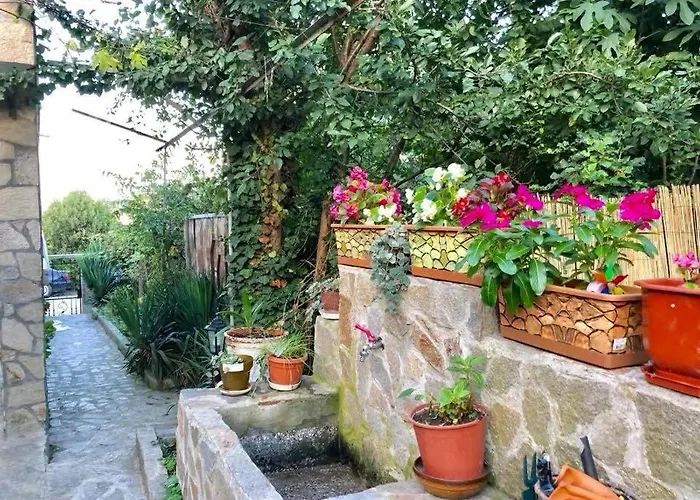 Yanakievi Vendégház Szinemorec